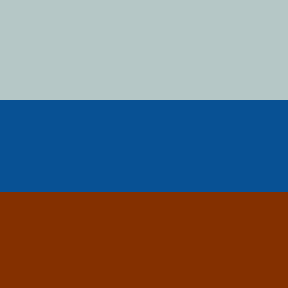 Surface minimap of Flag (1)